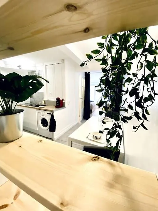Apartment *L'Appart D'Eden* Au Coeur De Vichy